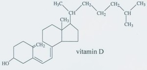THE BENEFITS OF VITAMIN D